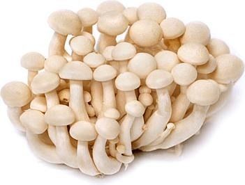 White Shimeji Mushroom, 500 g